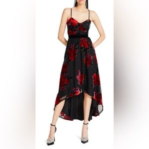 Betsey Johnson Rosalia Floral Velvet High-low Dress